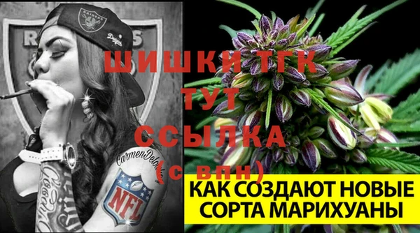 мяу мяу мука Надым