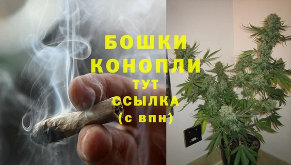 стафф Навашино